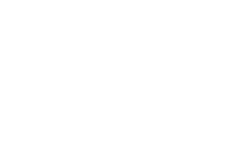 BULLET EXPRESS